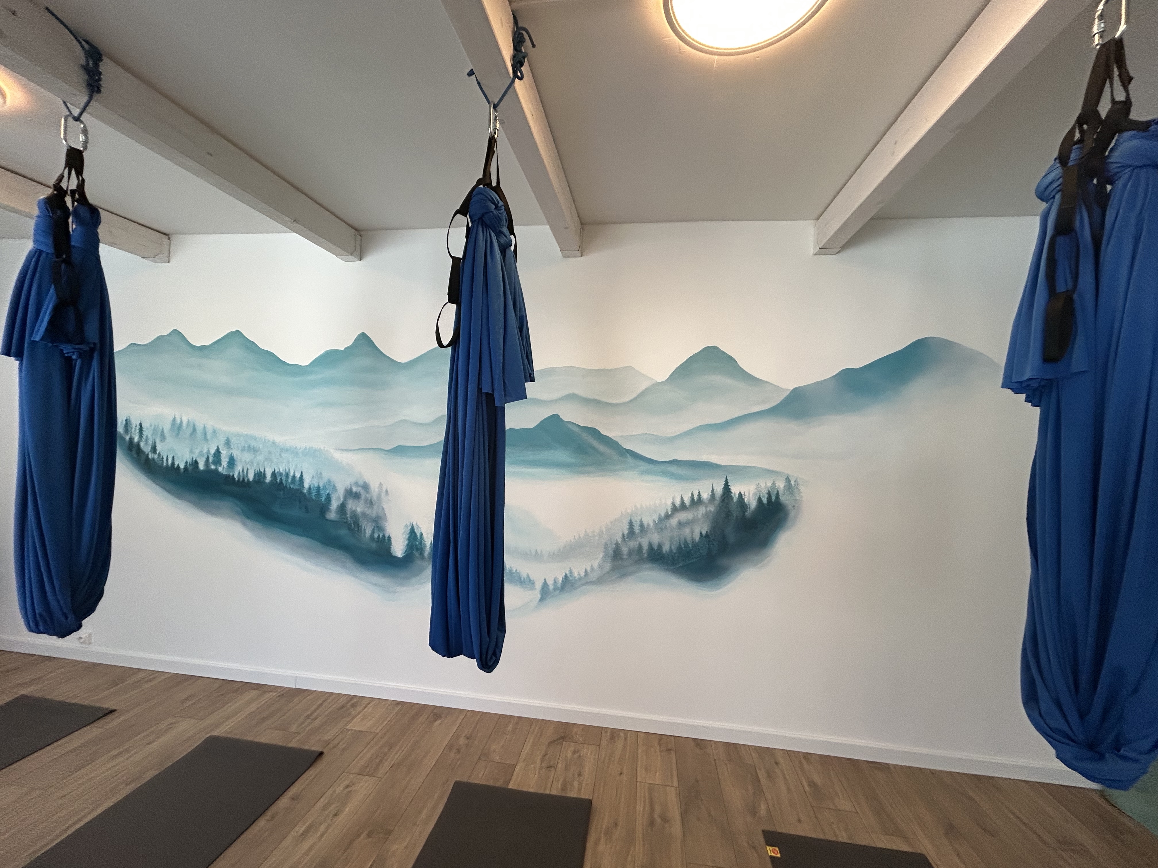 Aerial yoga practitioner in hammock